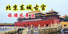 暴力插穴中国北京-东城古宫旅游风景区